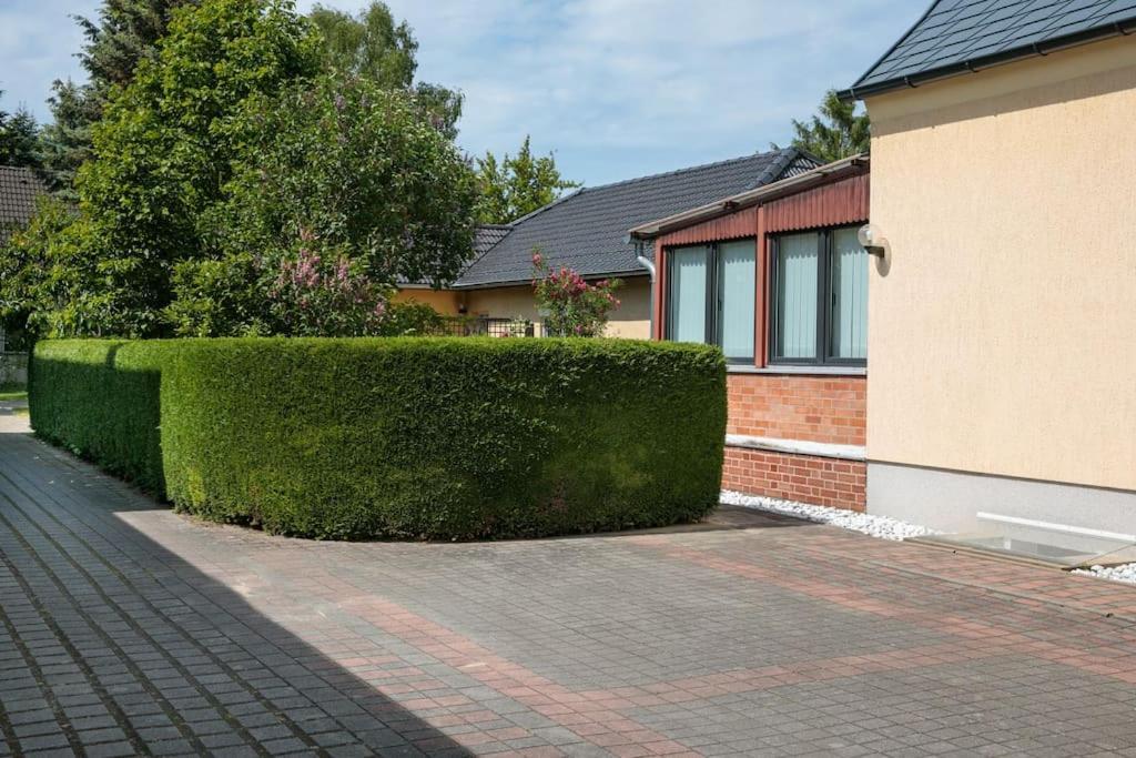 Charmantes Townhaus Mit Garten, W-Lan & Netflix ポツダム エクステリア 写真